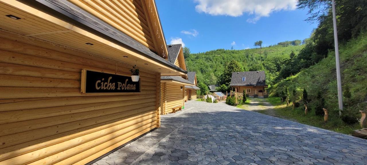 Cicha Polana Villa Szczyrk Buitenkant foto