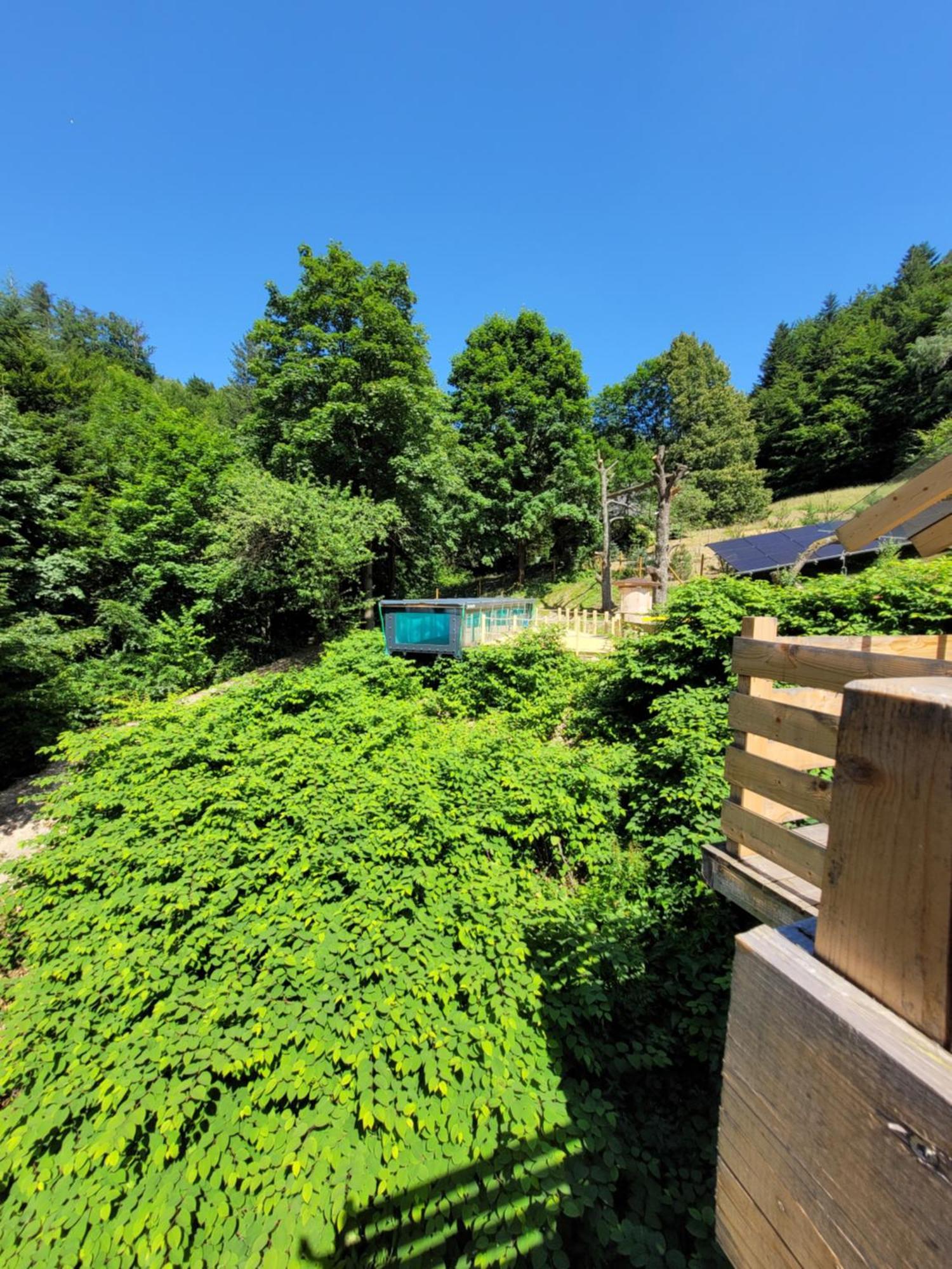 Cicha Polana Villa Szczyrk Buitenkant foto