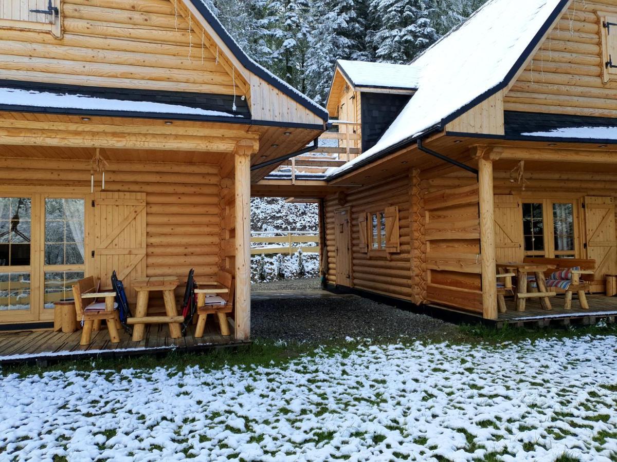 Cicha Polana Villa Szczyrk Buitenkant foto